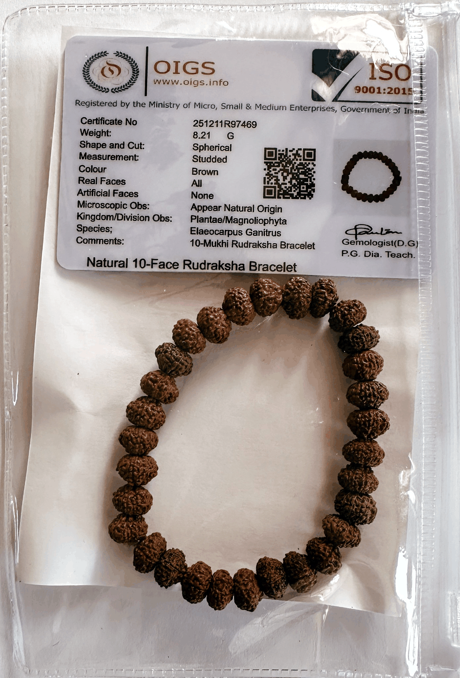 10 Mukhi Rudraksha Bracelet with certificate